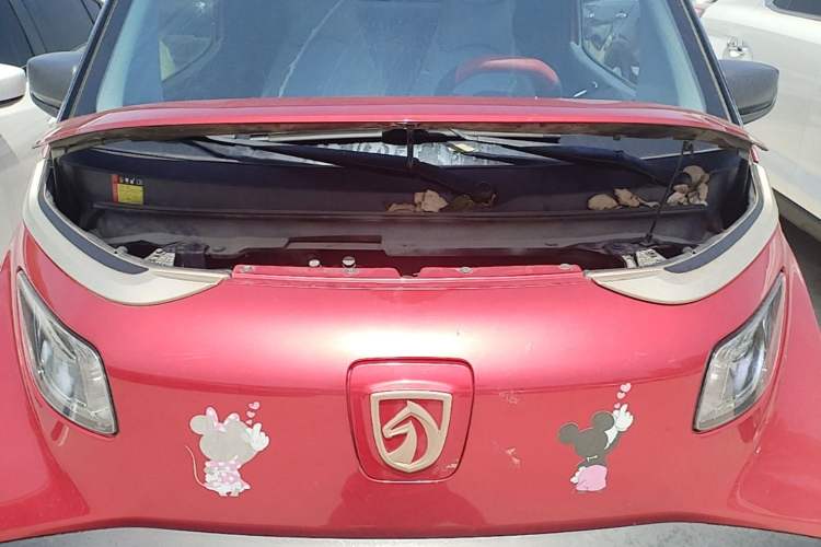 Used Baojun E200 2019 250KM Smart Drive Edition Engine Bay