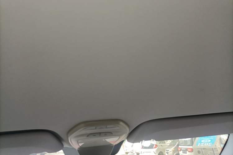 Used Baojun E200 2019 250KM Smart Drive Edition Headliner