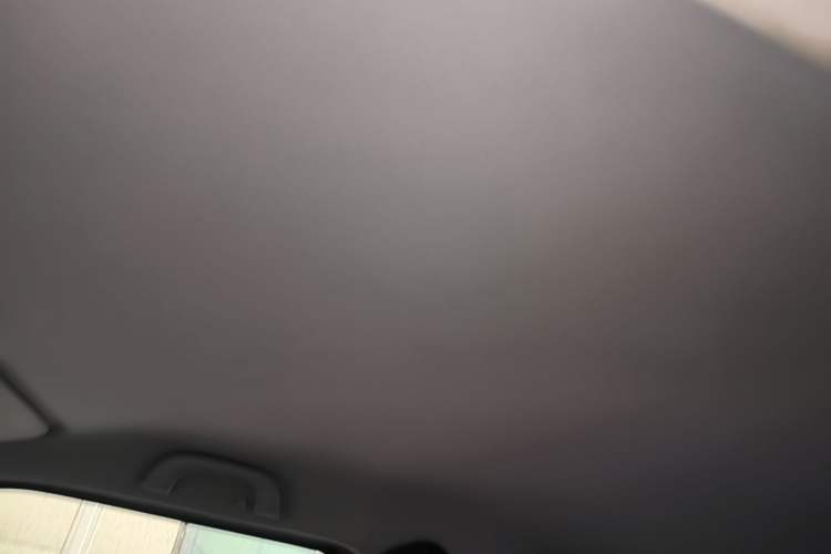 Used Baojun E200 2019 250KM Smart Enjoyment Version Headliner