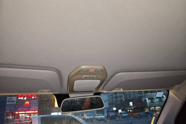 Used Baojun E200 2019 250KM Smart Drive Edition Headliner
