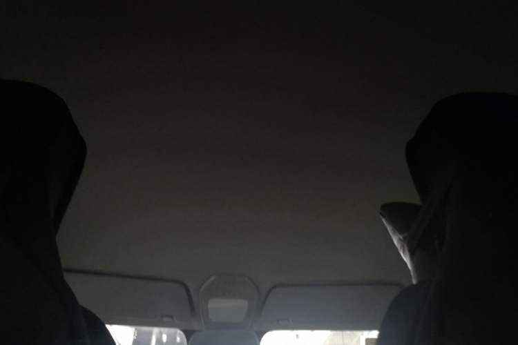 Used Baojun E200 2019 250KM Smart Drive Edition Headliner