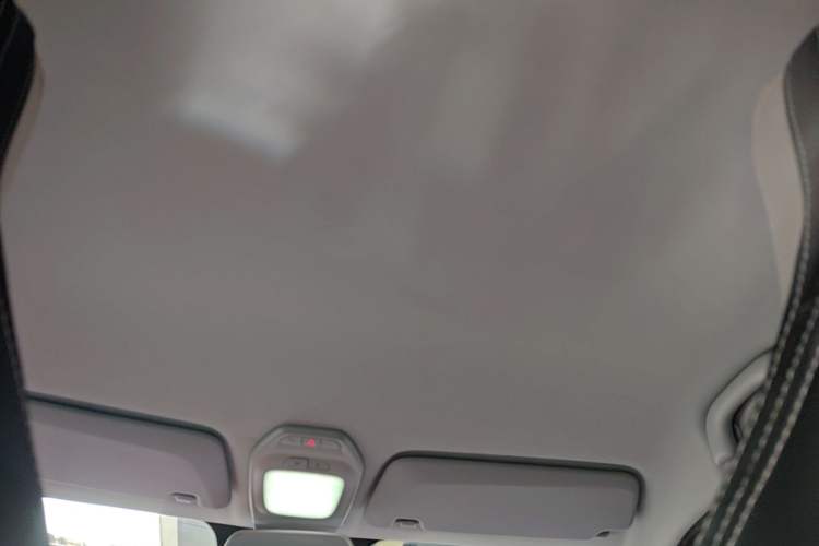 Used Baojun E200 2019 250KM Smart Enjoyment Version Headliner