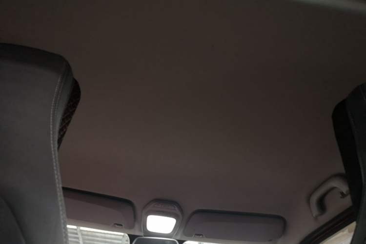 Used Baojun E200 2019 250KM Smart Enjoyment Version Headliner