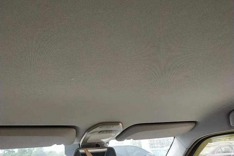 Used Baojun E200 2019 250KM Smart Drive Edition Headliner
