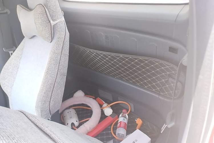 Used Baojun E200 2019 250KM Smart Drive Edition Left Rear Seat