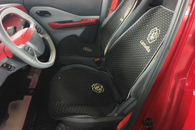 Used Baojun E200 2019 250KM Smart Drive Edition Left Rear Seat