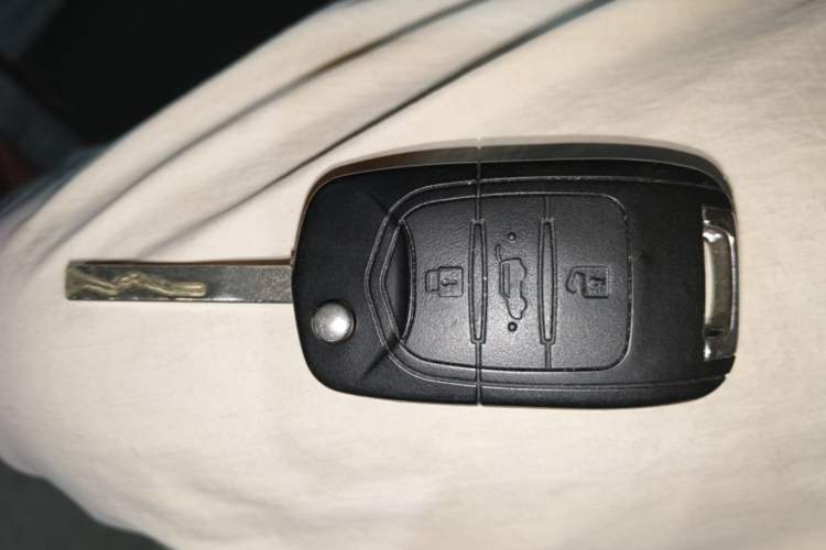 Used Baojun E200 2019 250KM Smart Drive Edition Vehicle Key