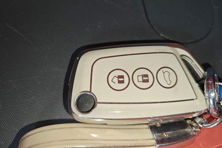Used Baojun E200 2019 250KM Smart Enjoyment Version Vehicle Key
