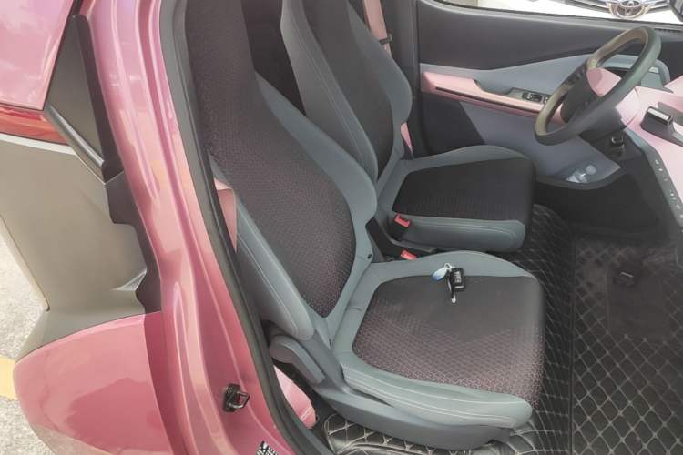 Used Baojun E200 2019 250KM Smart Enjoyment Version Right Front Seat