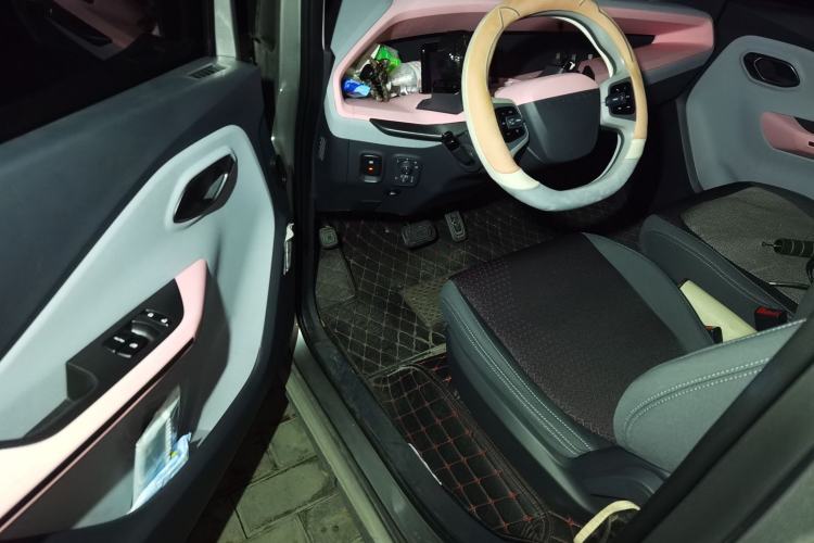 Used Baojun E200 2019 250KM Smart Enjoyment Version Driver Seat