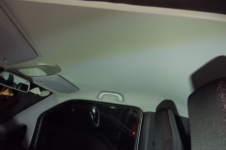 Used Baojun E200 2019 250KM Smart Enjoyment Version Headliner