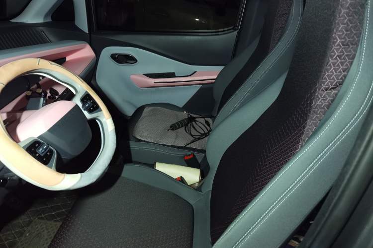 Used Baojun E200 2019 250KM Smart Enjoyment Version Left Front Seat