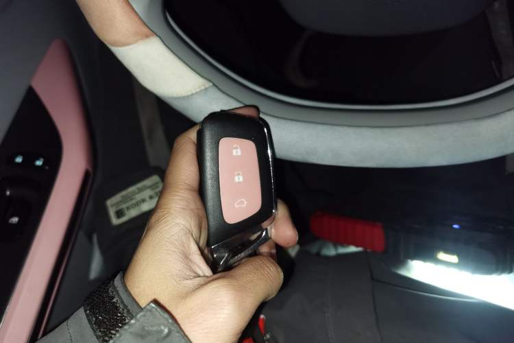 Used Baojun E200 2019 250KM Smart Enjoyment Version Vehicle Key