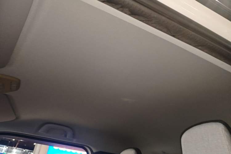 Used Baojun E200 2019 250KM Smart Enjoyment Version Headliner