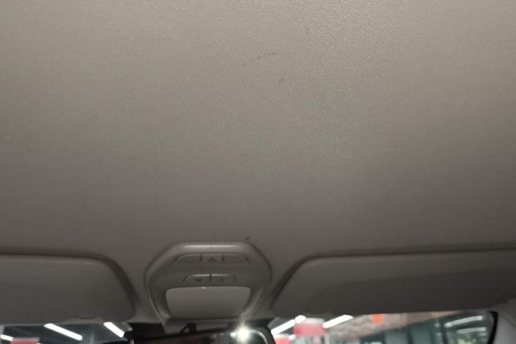Used Baojun E200 2019 250KM Smart Drive Edition Headliner