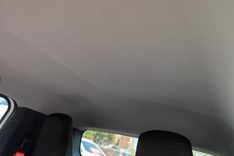 Used Baojun E200 2019 250KM Smart Enjoyment Version Headliner