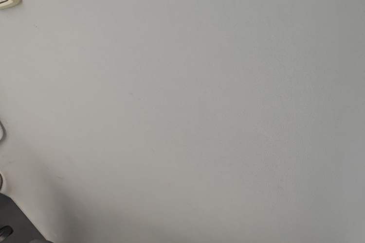 Used Baojun E200 2019 250KM Smart Drive Edition Headliner