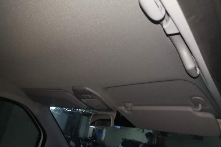Used Baojun E200 2019 250KM Smart Drive Edition Headliner