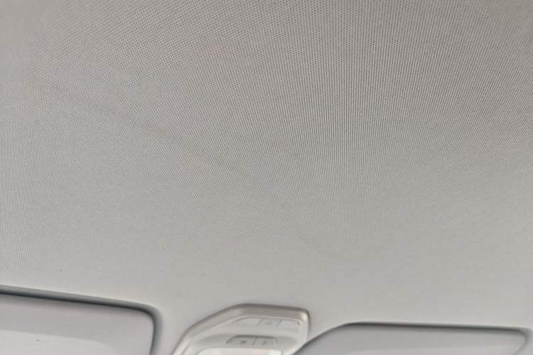 Used Baojun E200 2019 250KM Smart Drive Edition Headliner