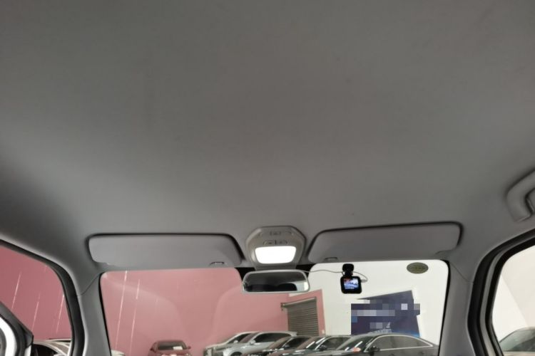 Used Baojun E200 2019 250KM Smart Drive Edition Headliner