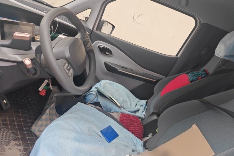 Used Baojun E200 2019 250KM Smart Drive Edition Left Front Seat
