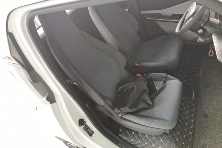Used Baojun E200 2019 250KM Smart Drive Edition Right Front Seat