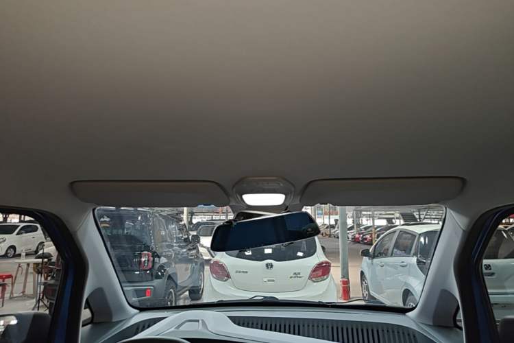 Used Baojun E200 2020 305KM Smart Drive Version Headliner