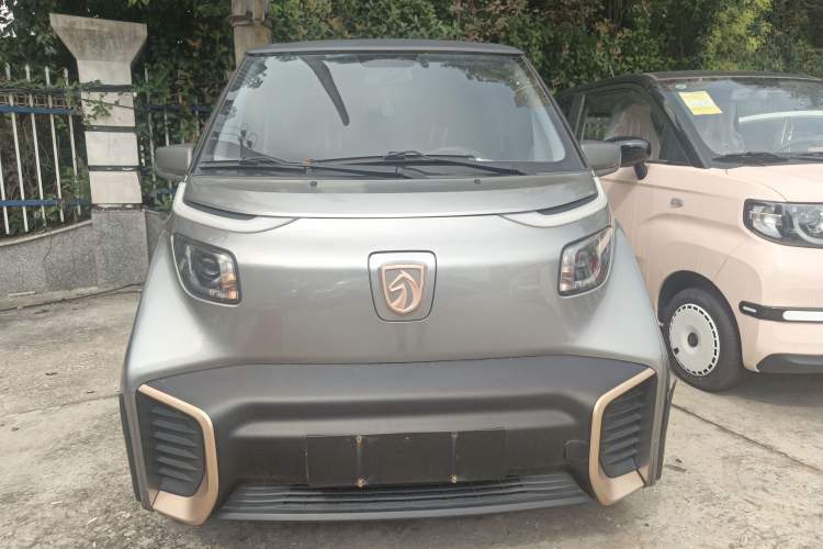 Used Baojun E200 2020 305KM Smart Drive Version Exterior 1