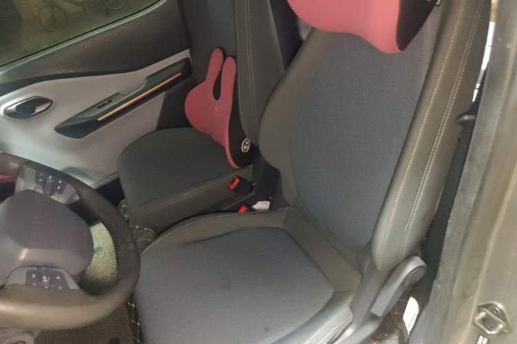 Used Baojun E200 2020 305KM Smart Drive Version Left Front Seat