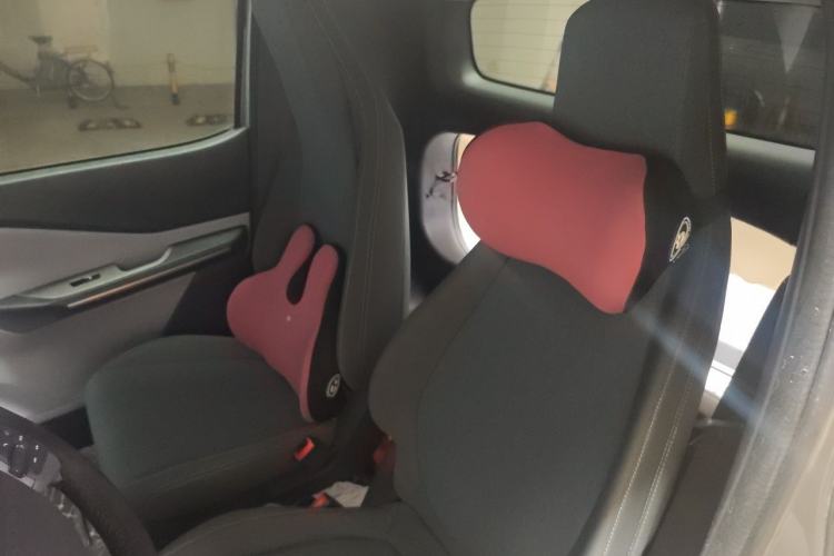 Used Baojun E200 2020 305KM Smart Drive Version Left Rear Seat