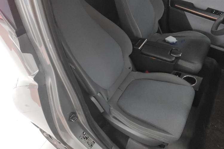 Used Baojun E200 2020 305KM Smart Drive Version Right Front Seat