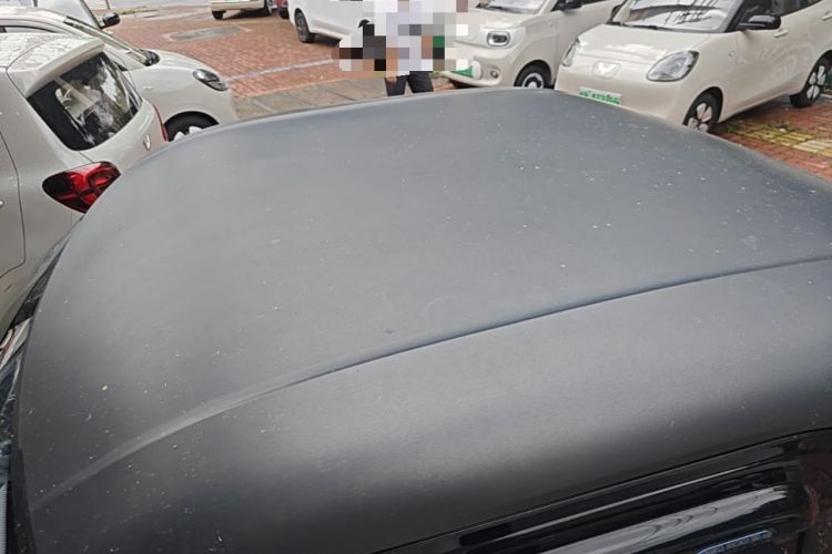 Used Baojun E200 2020 305KM Smart Drive Version Roof