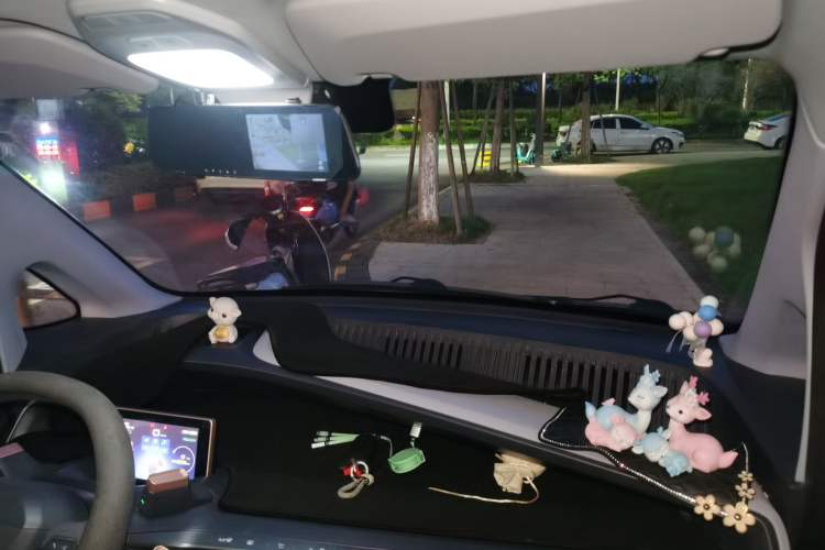 Used Baojun E200 2020 305KM Smart Drive Version Headliner