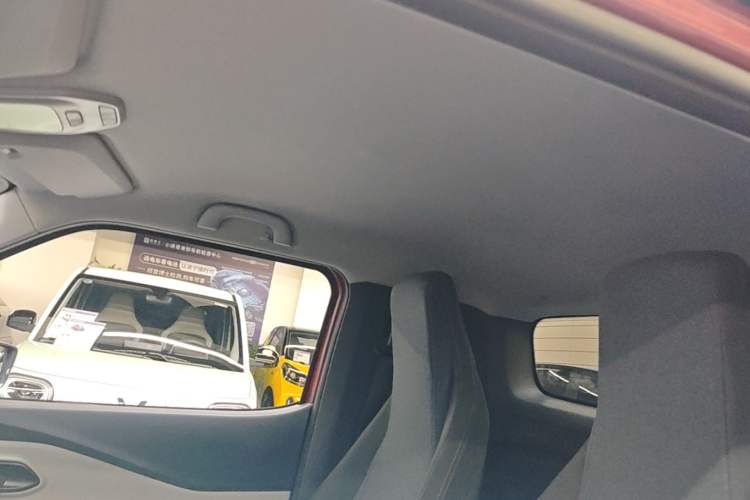 Used Baojun E200 2020 305KM Smart Enjoyment Version Headliner