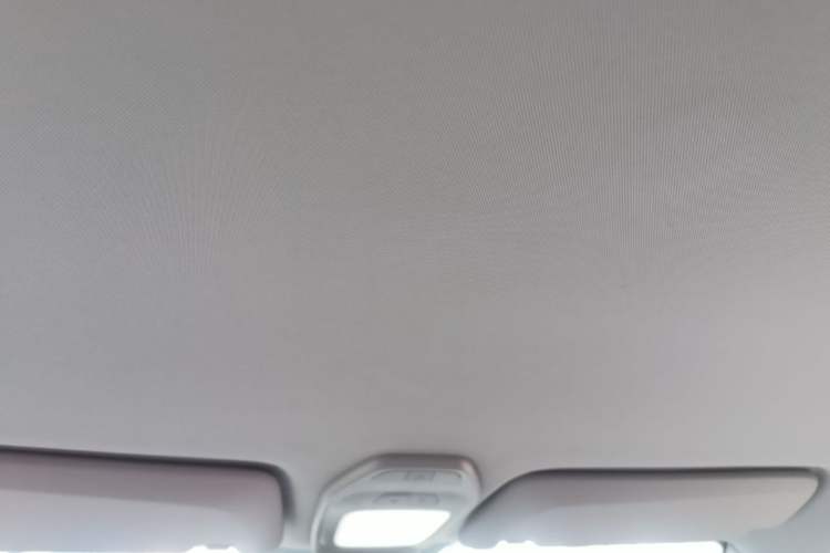Used Baojun E200 2020 305KM Smart Drive Version Headliner