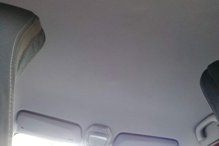 Used Baojun E200 2020 305KM Smart Enjoyment Version Headliner