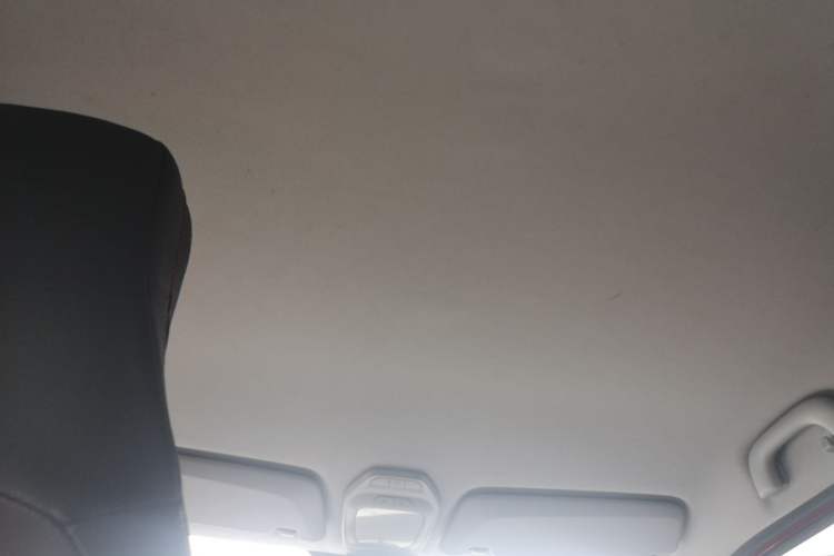 Used Baojun E200 2020 305KM Smart Drive Version Headliner