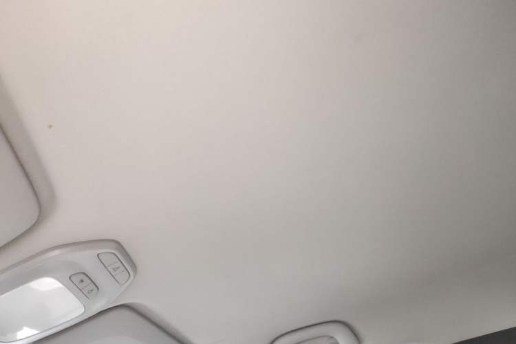 Used Baojun E200 2020 305KM Smart Drive Version Headliner