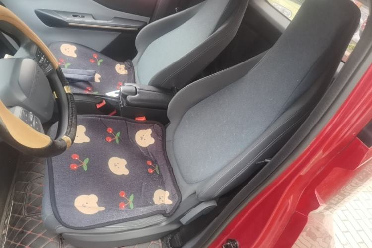 Used Baojun E200 2020 305KM Smart Drive Version Left Front Seat