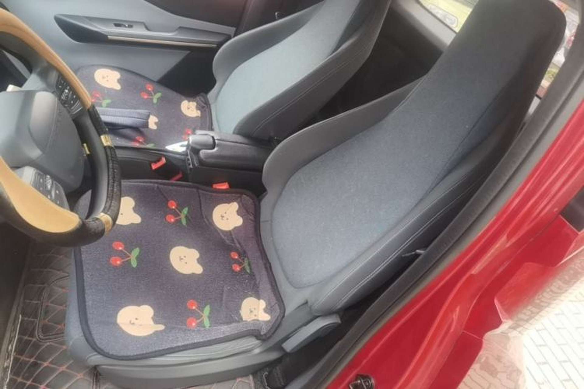 Used Baojun E200 2020 305KM Smart Drive Version Left Front Seat