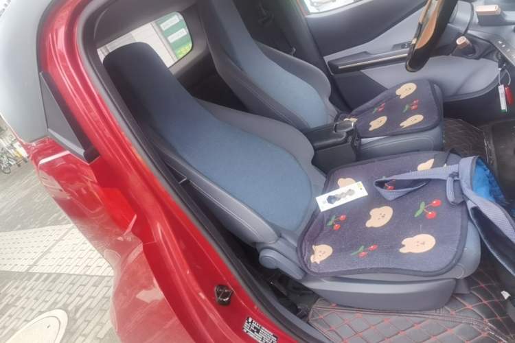 Used Baojun E200 2020 305KM Smart Drive Version Right Front Seat