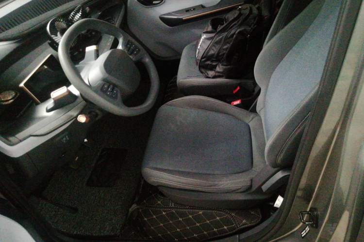 Used Baojun E200 2020 305KM Smart Drive Version Left Front Seat
