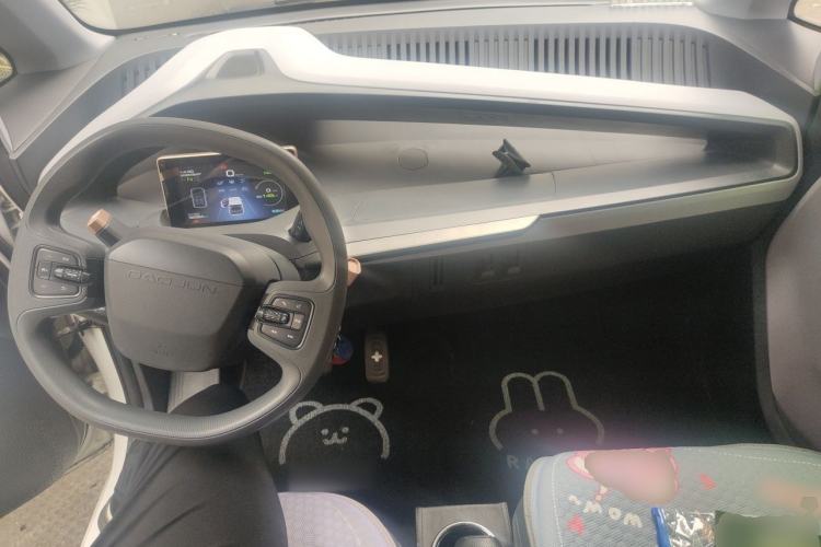 Used Baojun E200 2020 305KM Smart Drive Version Center Console