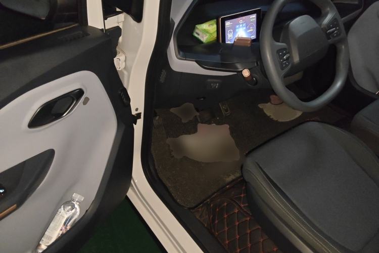 Used Baojun E200 2020 305KM Smart Drive Version Driver Seat