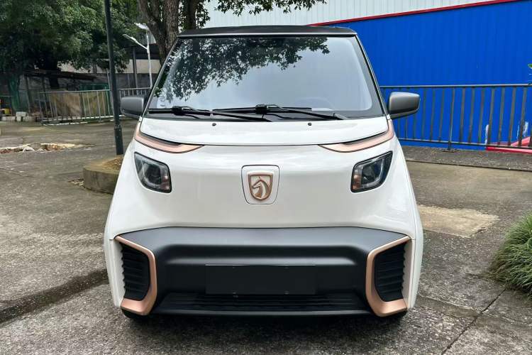 Used Baojun E200 2020 305KM Smart Drive Version Exterior 1