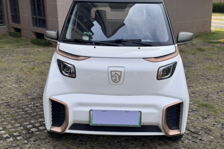 Used Baojun E200 2020 305KM Smart Drive Version Exterior 1