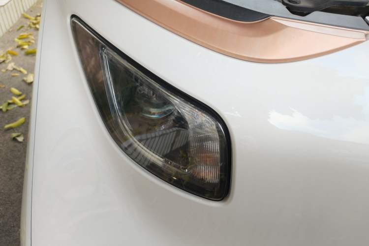 Used Baojun E200 2020 305KM Smart Drive Version Exterior 6