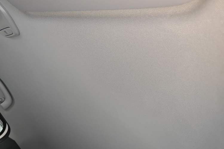 Used Baojun E200 2020 305KM Smart Drive Version Headliner