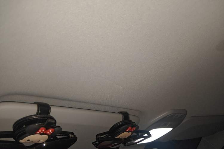 Used Baojun E200 2020 305KM Smart Drive Version Headliner