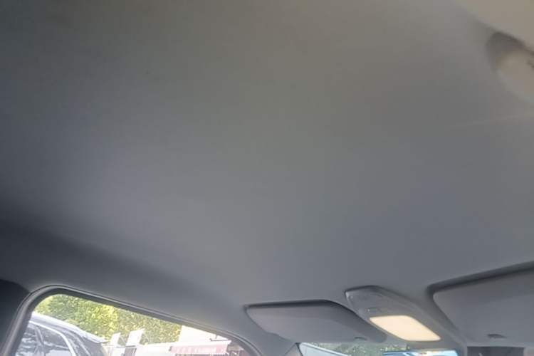 Used Baojun E200 2020 305KM Smart Drive Version Headliner